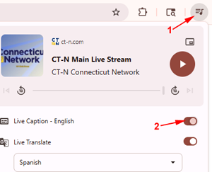 Chrome browser caption toggle