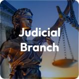 Judicial Category